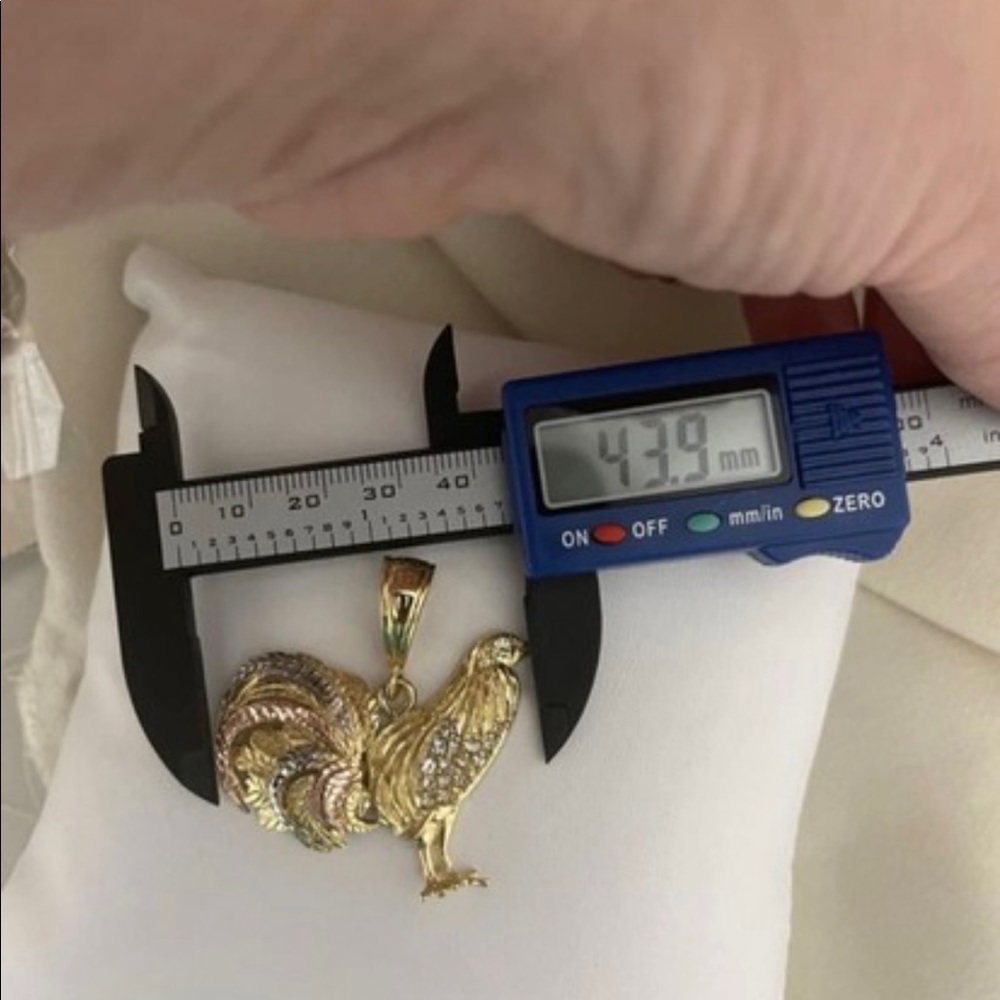 14k Gold Filled Rooster Charm, Medalla De Gallo Para Hombre - Picture 4 of 4
